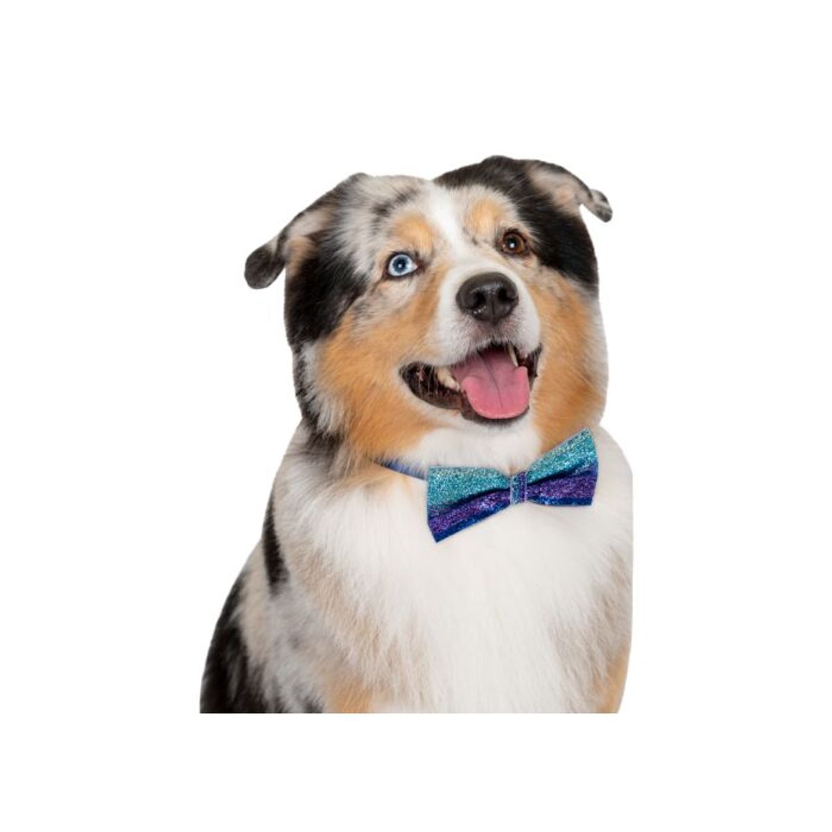 Canine Costume Dickie Bows Sparkle 10-Pack Assorted, Show Tech