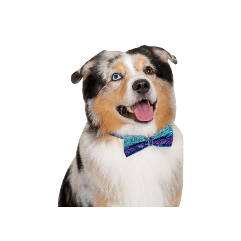 Canine Costume Dickie Bows Sparkle 10-Pack Assorted, Show Tech