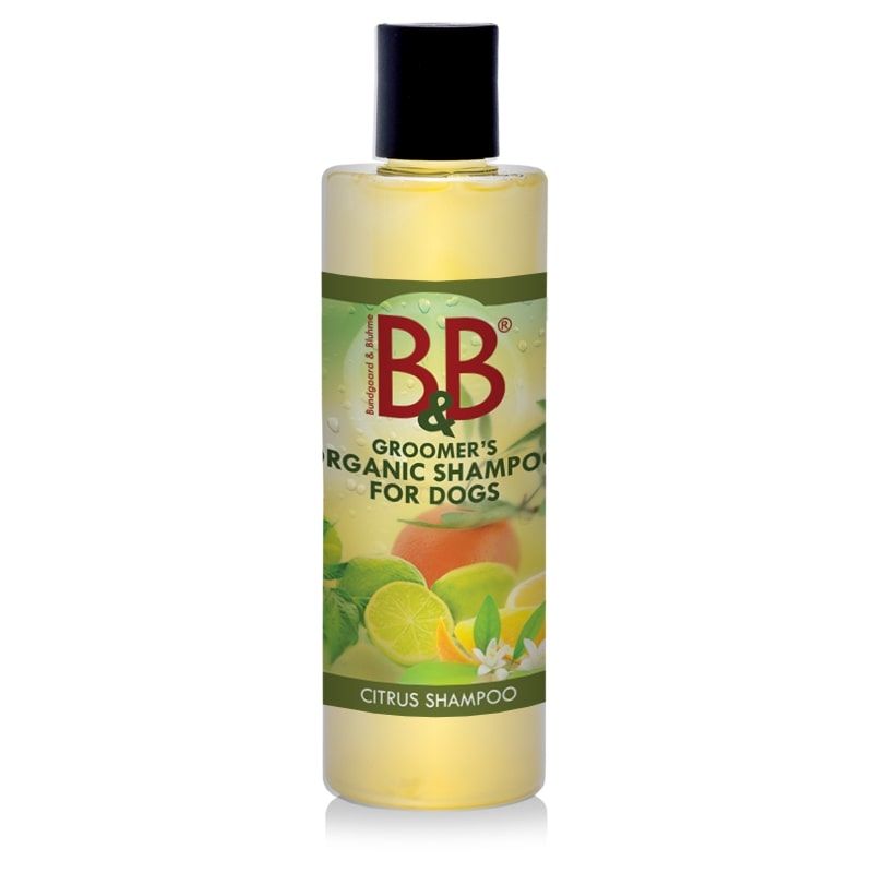 Citrus Shampo100ml, B&B