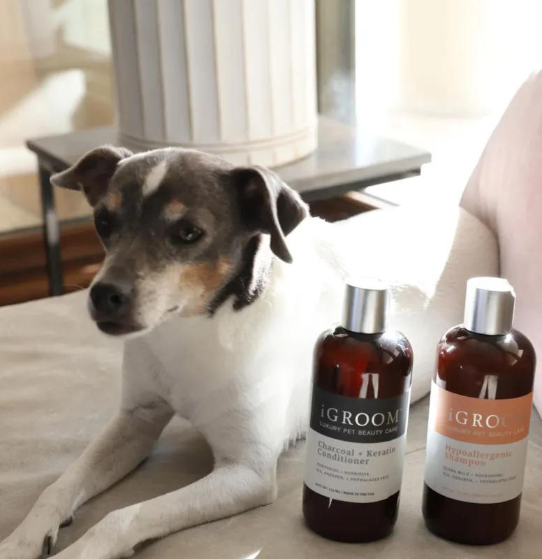 Hypoallergic Shampoo 3,78l, iGROOM