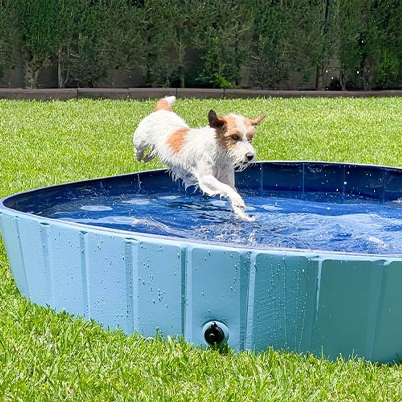 Hundebasseng Pool Large (160X30cm), Ibanez