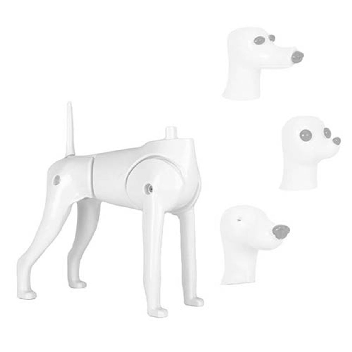 Model Dog Body Educational Dog (without head!), Starzclub