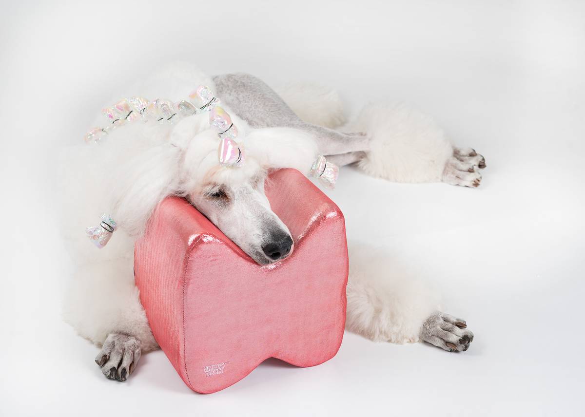 Grooming pute rød Topknot Cushion Glitzy (Small), ShowTech