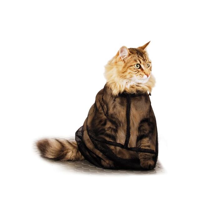 Hovedbilde Cat Bag, ShowTech