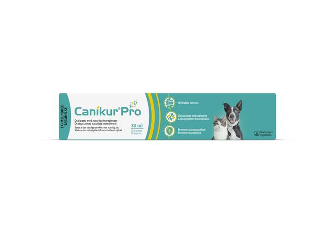 Hovedbilde Canikur Pro 30ml, pasta, Canikur