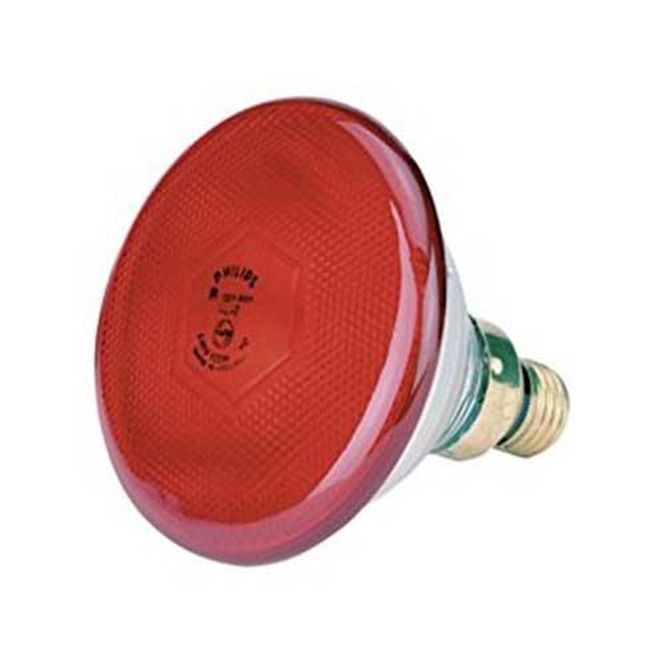 Hovedbilde Infrarød lampe 175W, Ibanez
