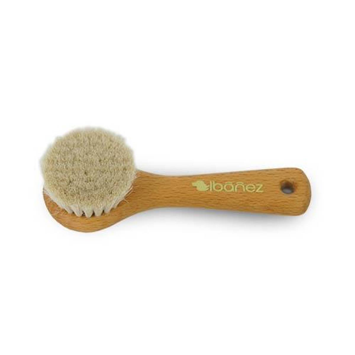 Powder Brush, Ibanez
