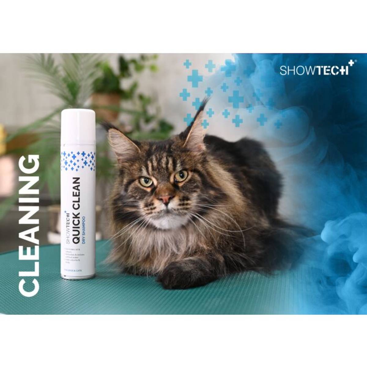 Quick Clean Dry Shampoo 200 ml, ShowTech