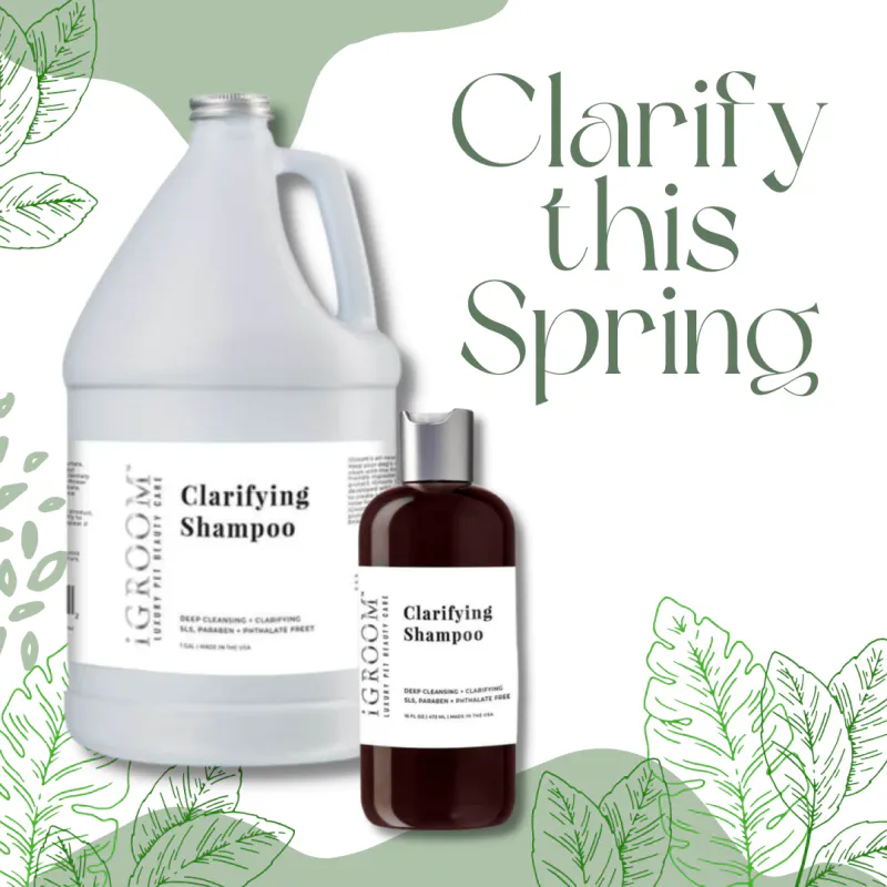 Clarifying Shampoo  473ml, iGROOM